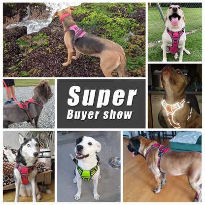 High Quality No Pull Dog Harness For All Breeds