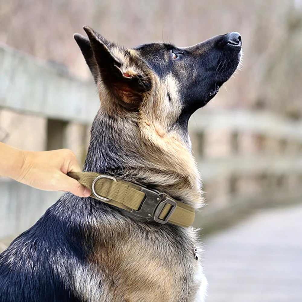 Tactical Dog Collar & Bungee Leash Set