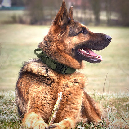 Tactical Dog Collar & Bungee Leash Set